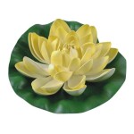 Lilija dzeltena o 19cm