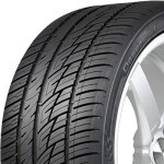 295/35zr21 delinte ds8 vasaras riepa 107y xl