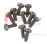 skrūve tpms sensoram 1.gb schrader 8004-10 snap-in