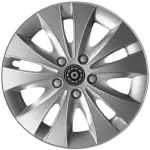 Skaistuma vairoga vētra 16"