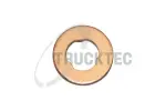 TRUCKTEC AUTOMOTIVE  Siltumizolācijas paplāksne, Iesmidzināšanas sistēma 02.10.079
